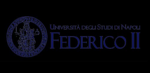 Federico II University of Naples